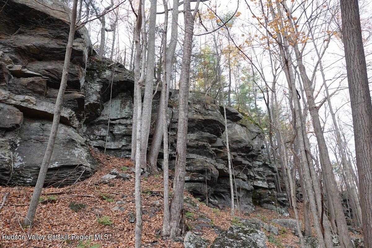 736 Manorville Road Saugerties, NY 12477 - Photo 6 of 10 a backyard of a house with lots of green space