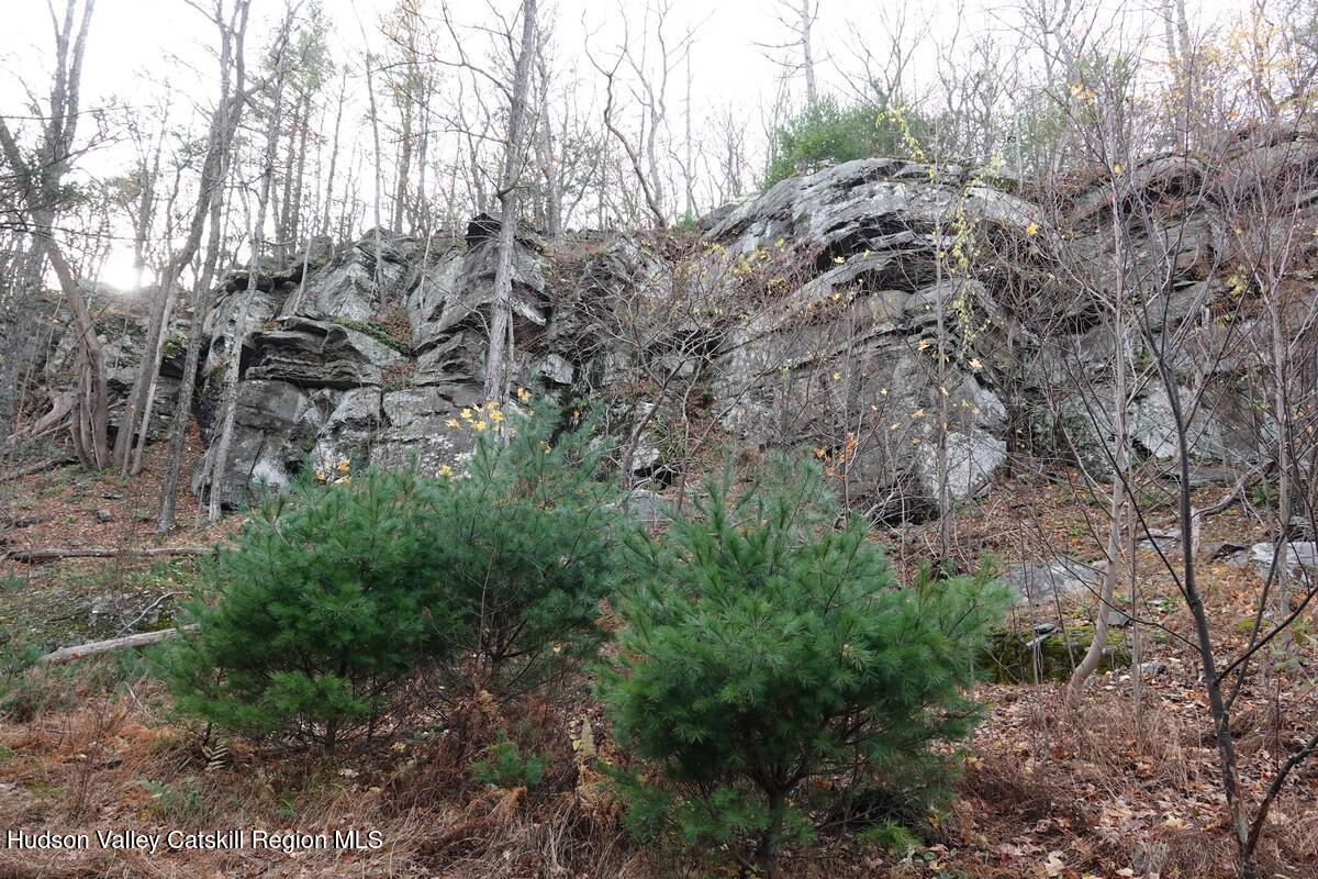 736 Manorville Road Saugerties, NY 12477 - Photo 7 of 10 a view of a forest with lots of trees