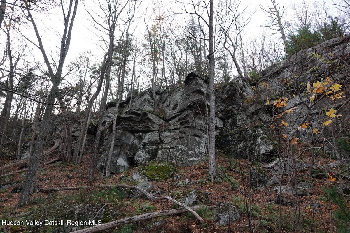736 Manorville Road Saugerties, NY 12477 - Photo 8 of 10 a view of a forest filled with trees