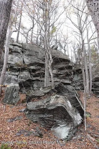 a view of a yard with a tree