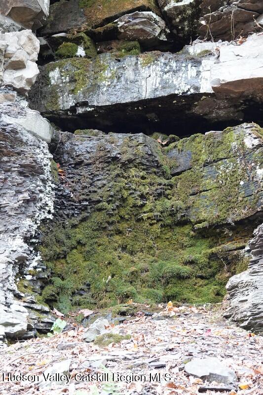 736 Manorville Road Saugerties, NY 12477 - Photo 10 of 10 a view of outdoor space and yard
