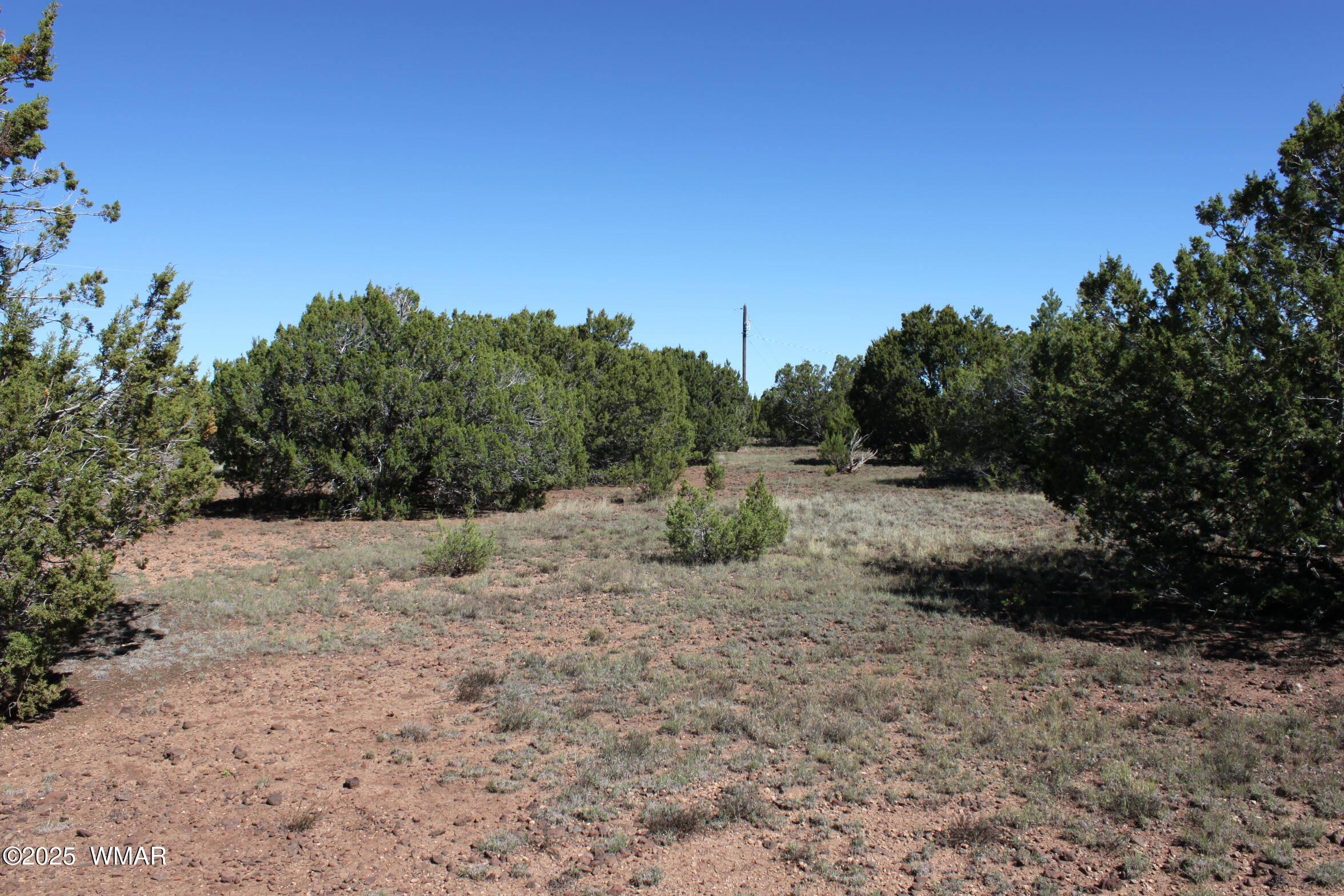 22 Co Road Show Low, AZ 85901 - Photo 12 of 15 IMG_6733