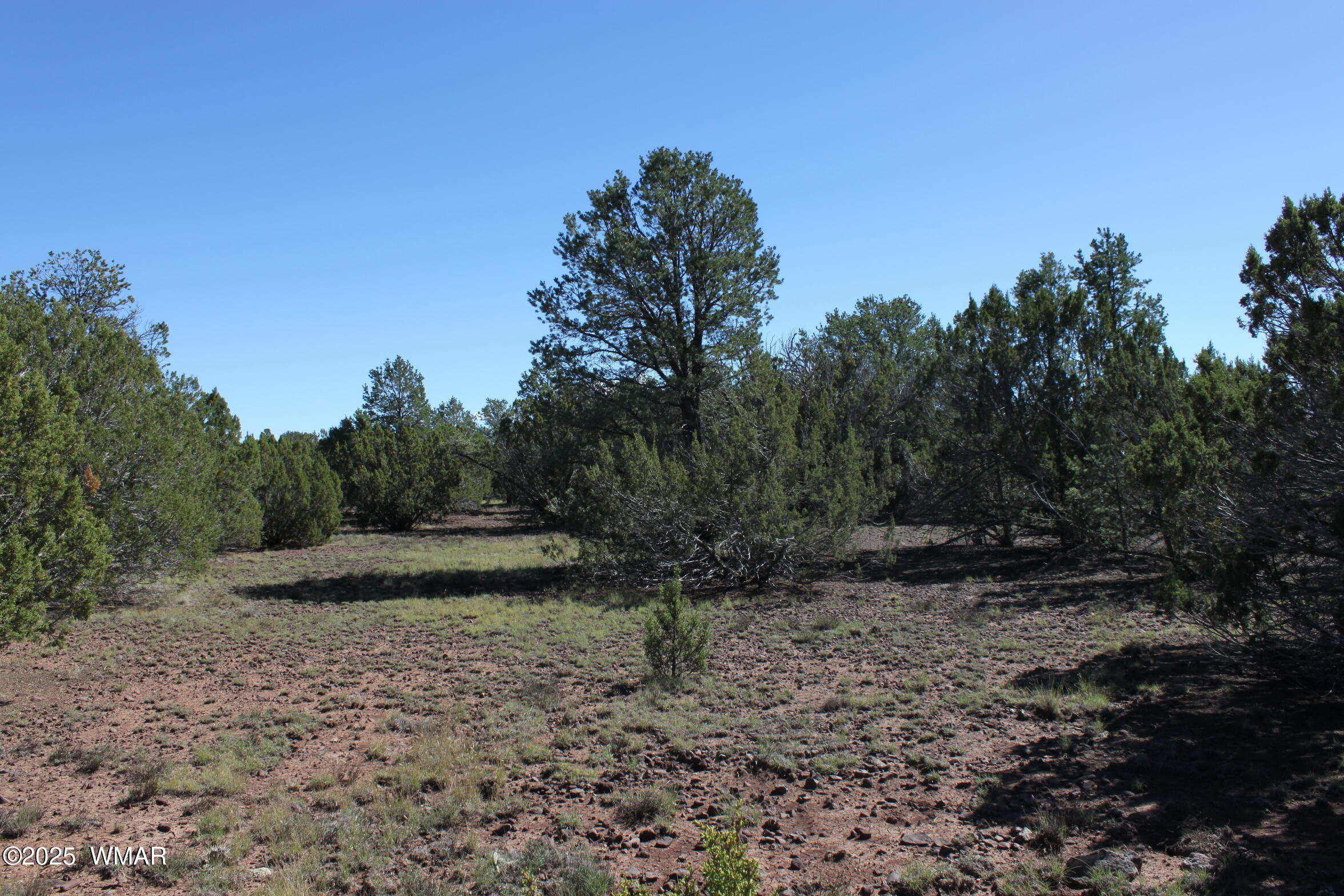 22 Co Road Show Low, AZ 85901 - Photo 13 of 15 IMG_6734