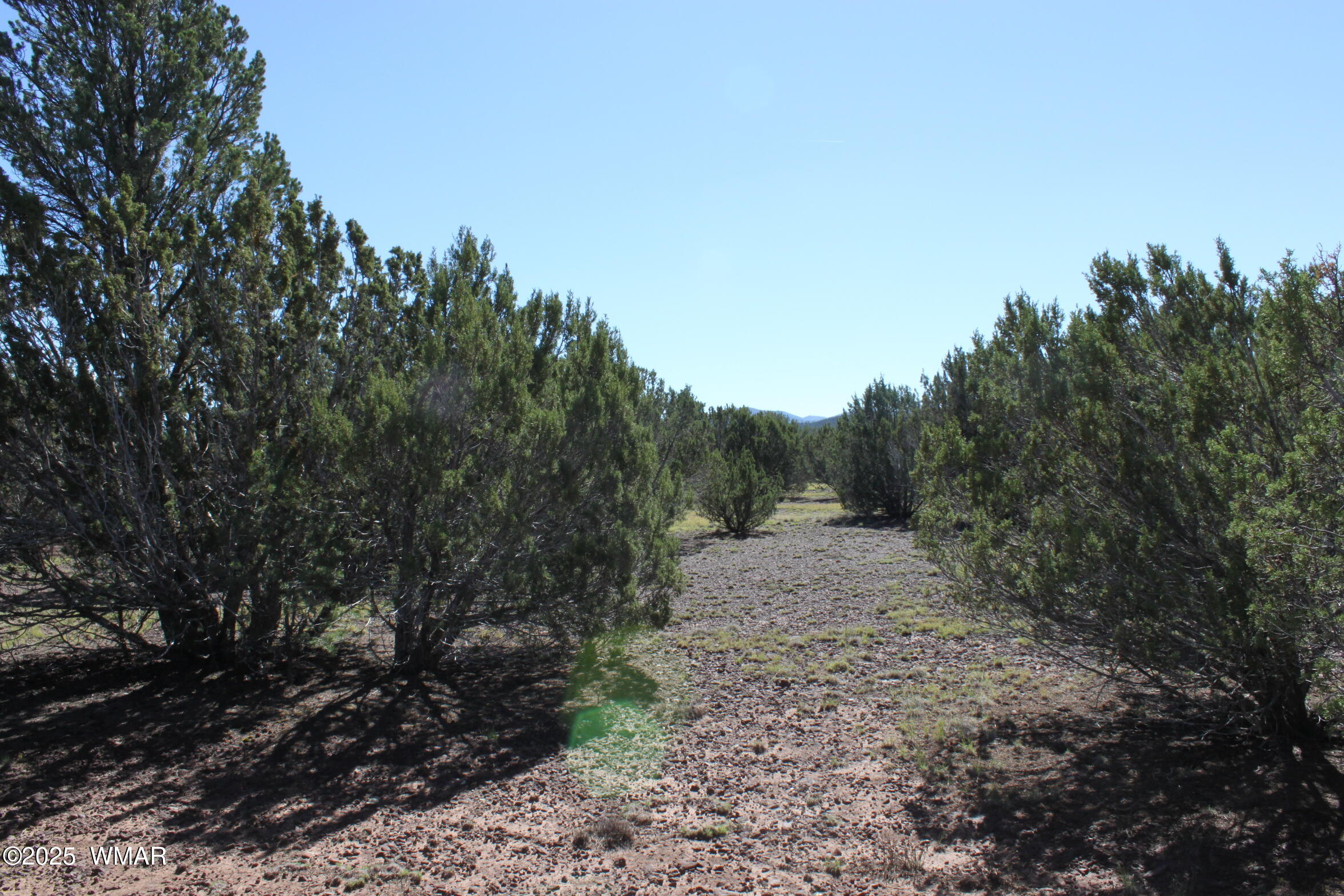 22 Co Road Show Low, AZ 85901 - Photo 14 of 15 IMG_6735