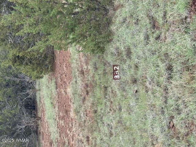 22 Co Road Show Low, AZ 85901 - Photo 2 of 15 Lot #332