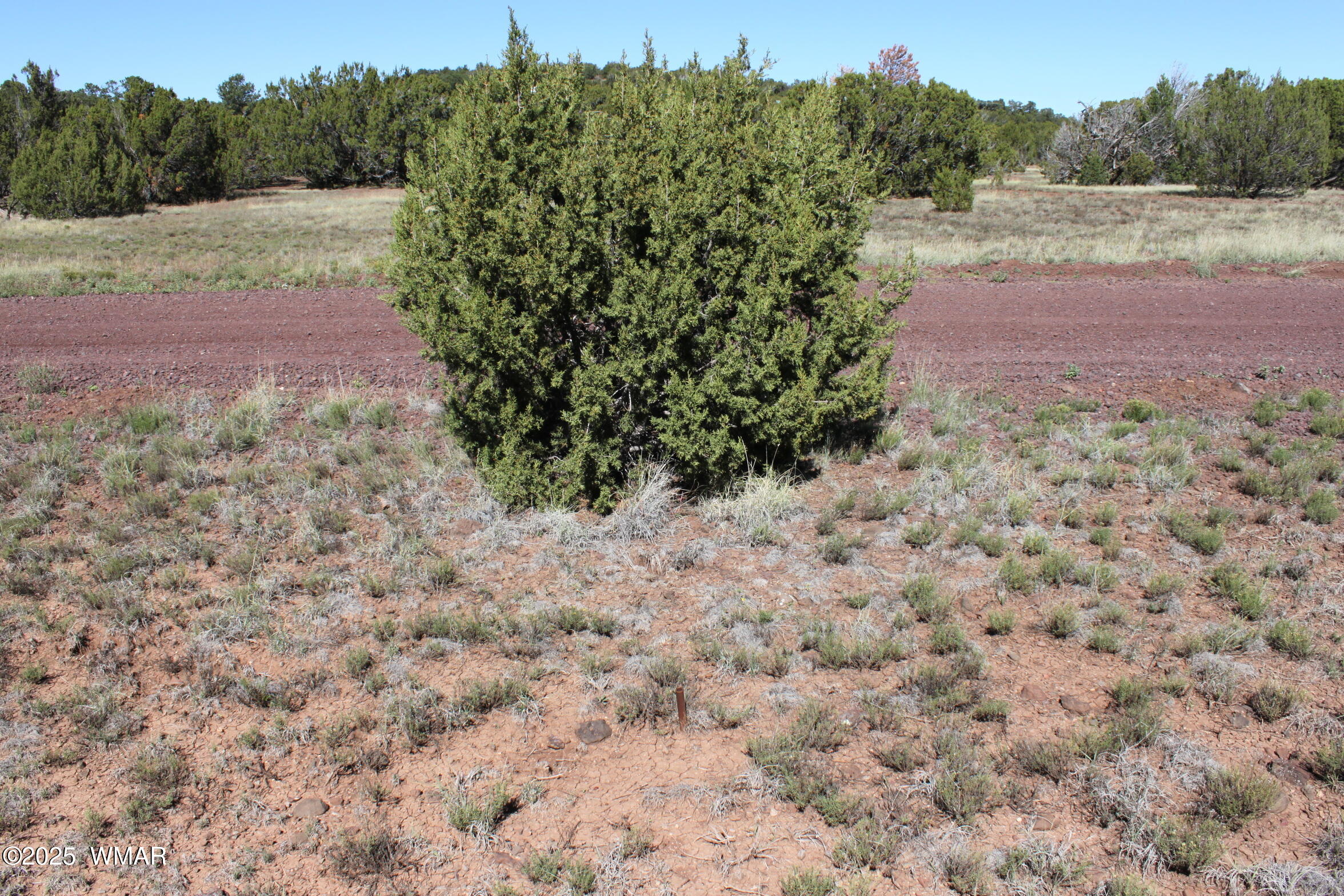22 Co Road Show Low, AZ 85901 - Photo 5 of 15 North East corner