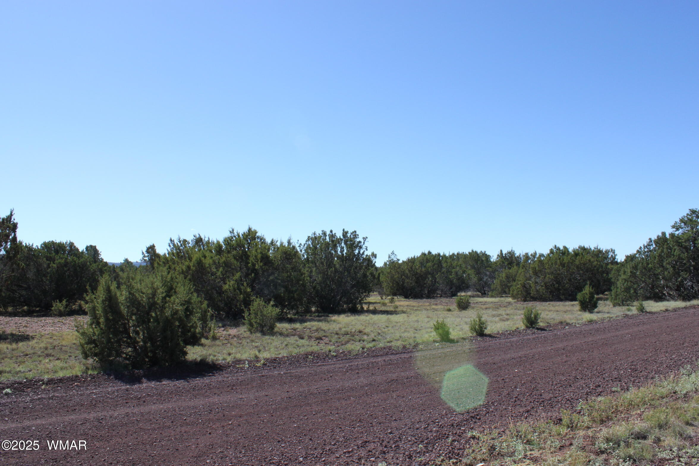 22 Co Road Show Low, AZ 85901 - Photo 8 of 15 IMG_6729