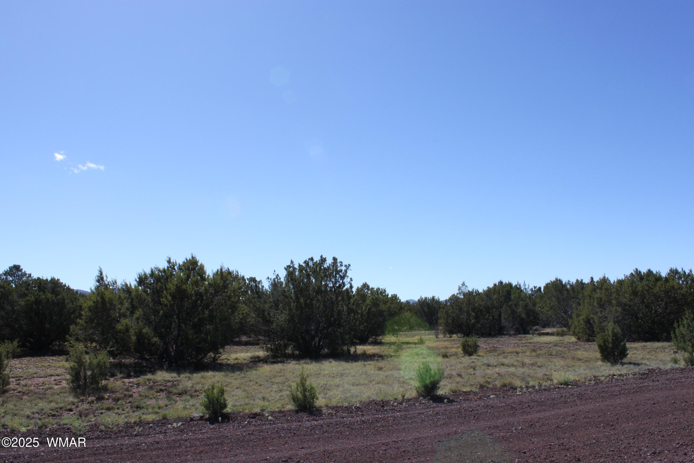 22 Co Road Show Low, AZ 85901 - Photo 10 of 15 IMG_6731