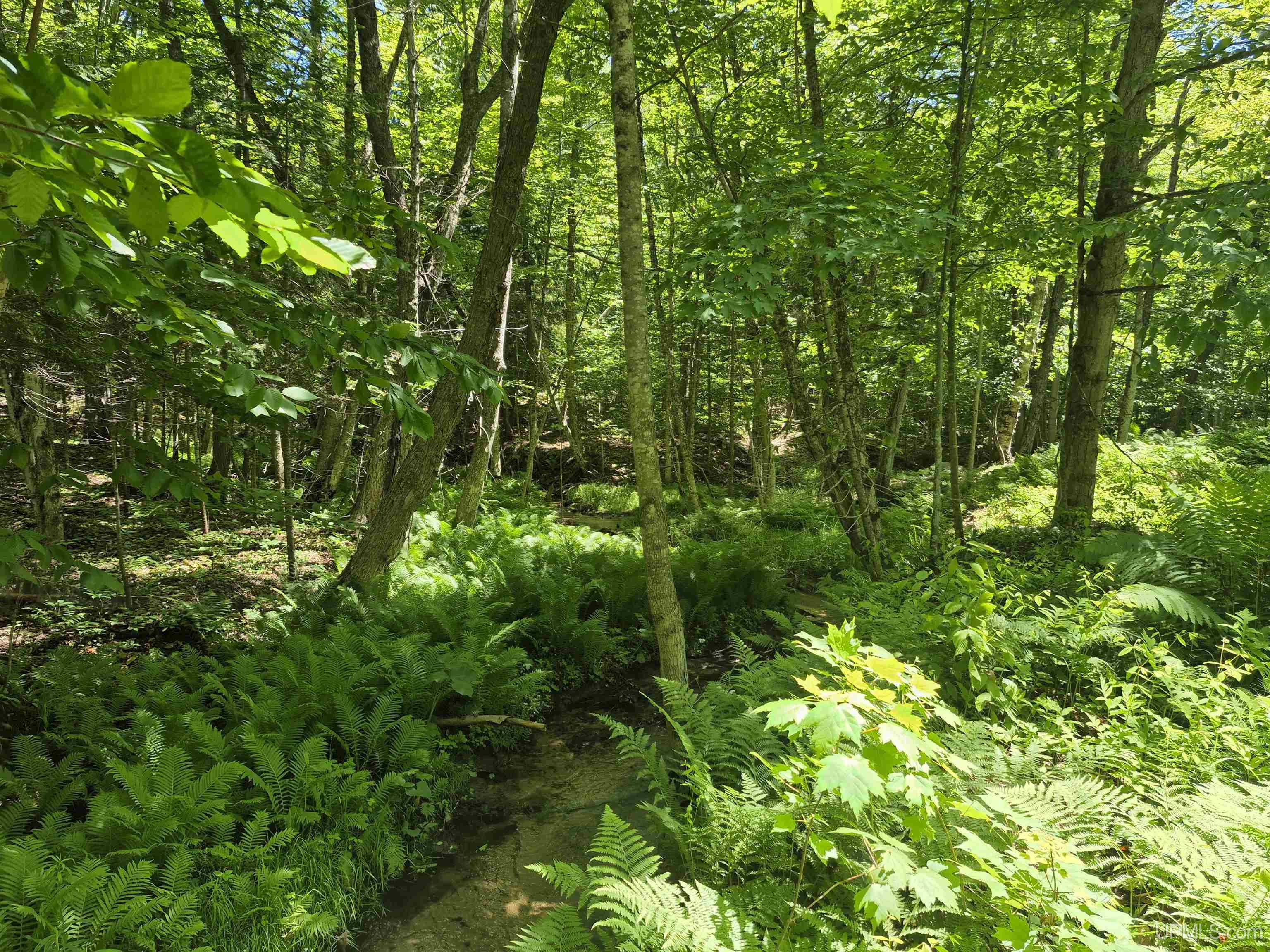 8-acres Nestor Road Munising, MI 49862 - Photo 13 of 43