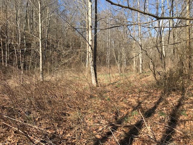 500 Daniel Morrison Road Frenchburg, KY 40322 - Photo 13 of 17 Photo 13