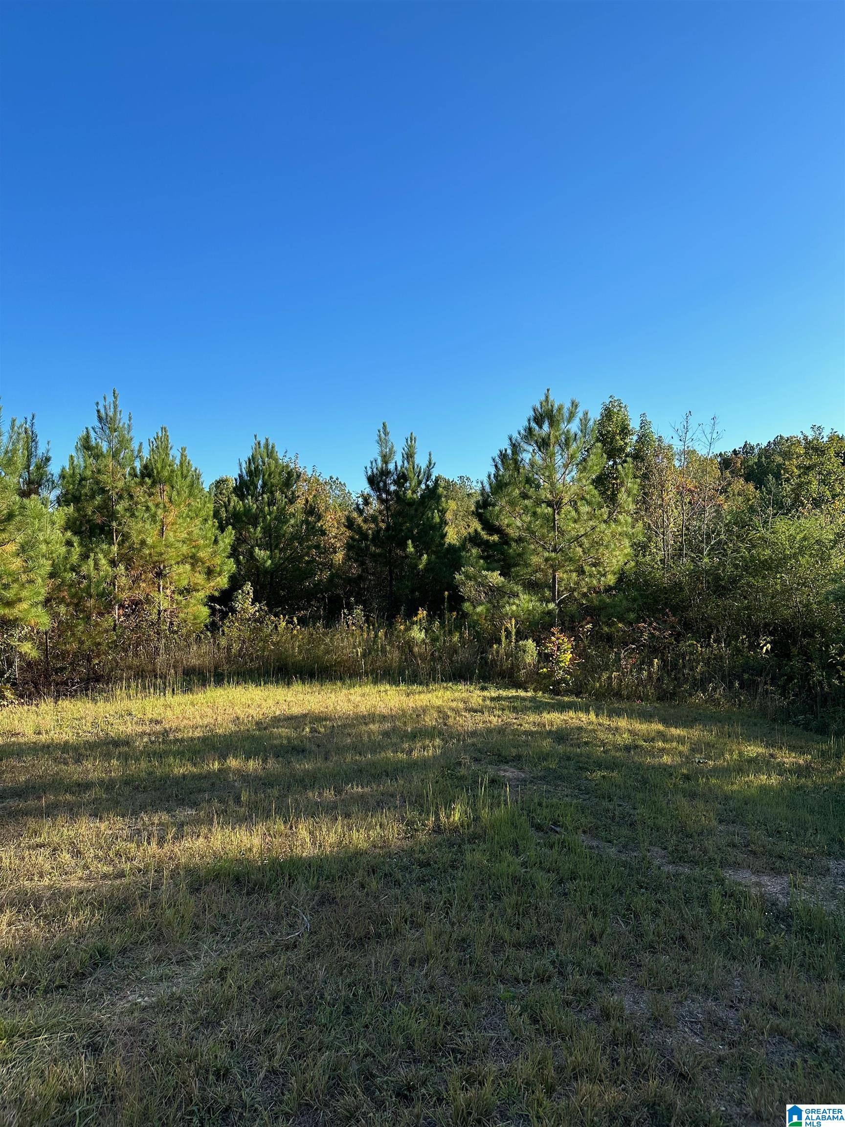 0 Reed Creek Drive Shelby, AL 35143 - Photo 1 of 15