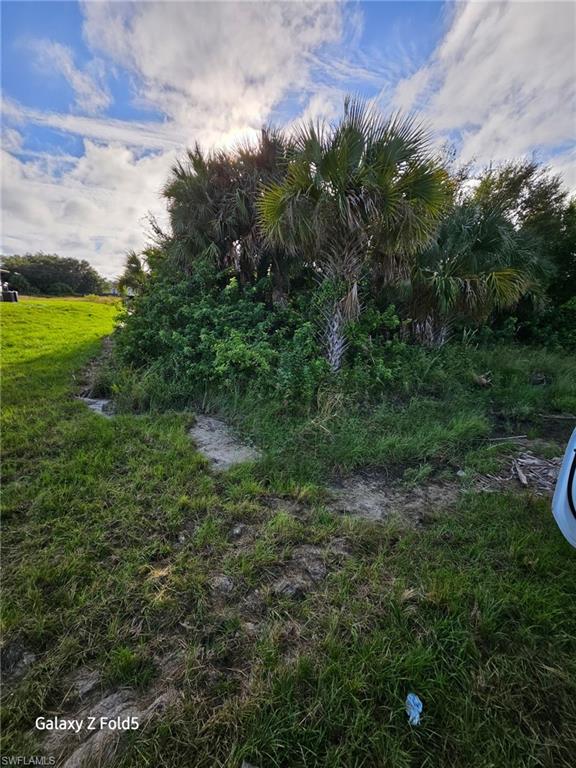 a view of a big yard with large trees