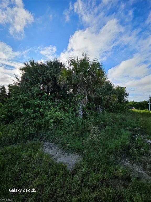 2504 Park Road Lehigh Acres, FL 33971 - Photo 4 of 8 a view of a city with lush green forest