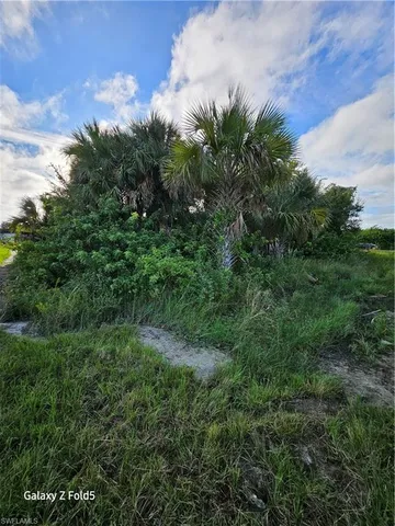 a view of a lush green forest with lots of trees