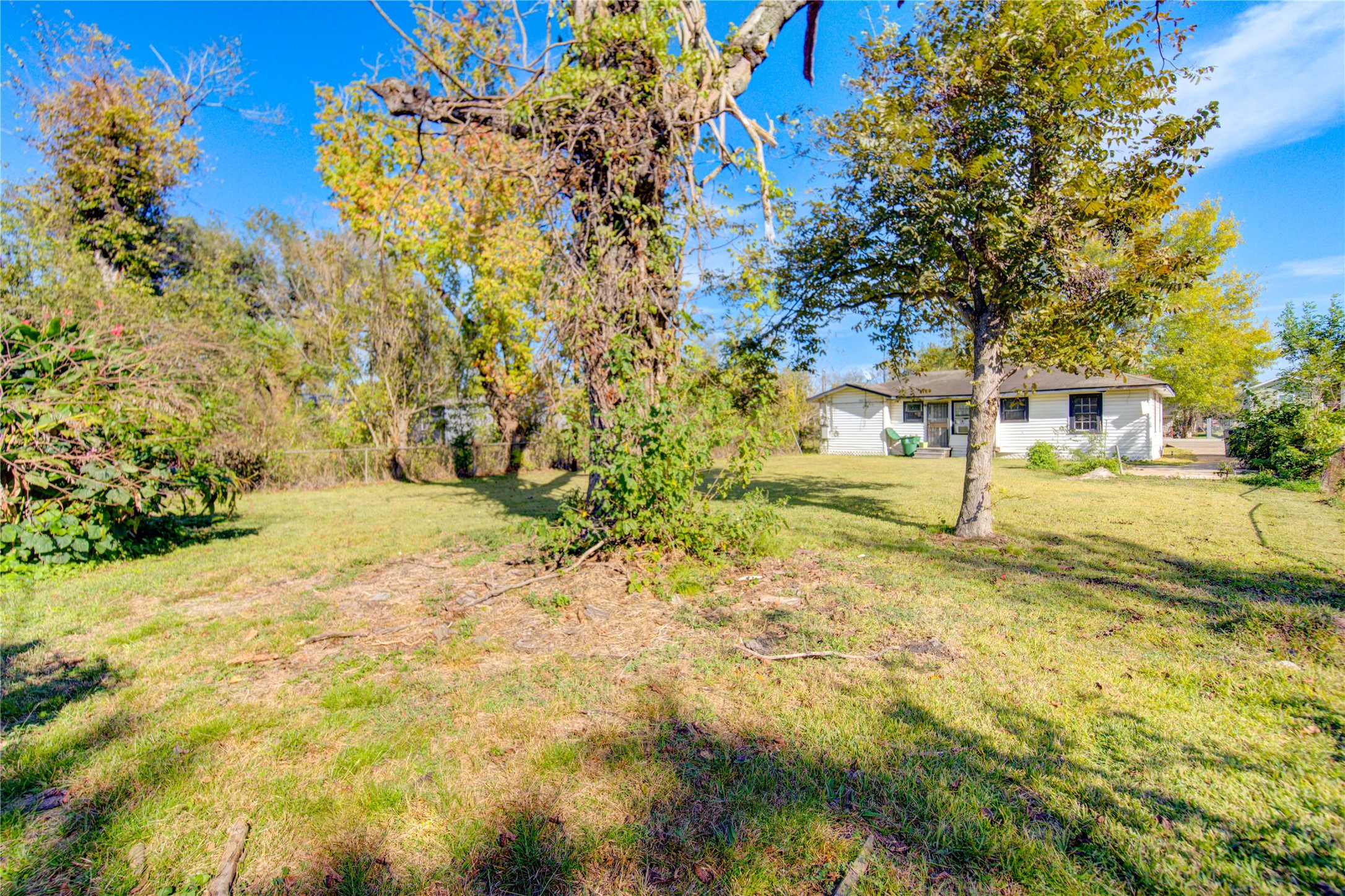 3431 Sayers Street Houston, TX 77026 - Photo 41 of 44 a view of yard with trees