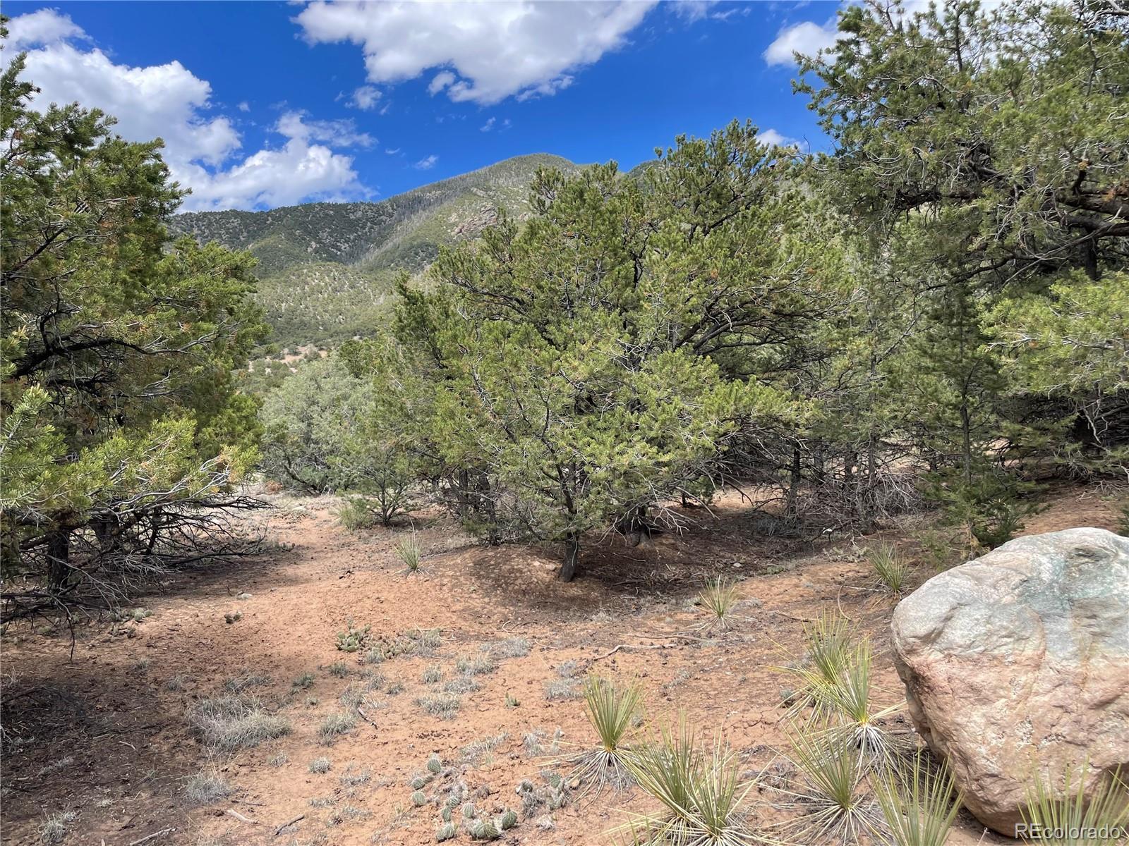 4286 Fallen Tree Crestone, CO 81131 - Photo 6 of 12