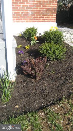 5937 Glenkirk Road Baltimore, MD 21239 - Photo 10 of 24 Garden