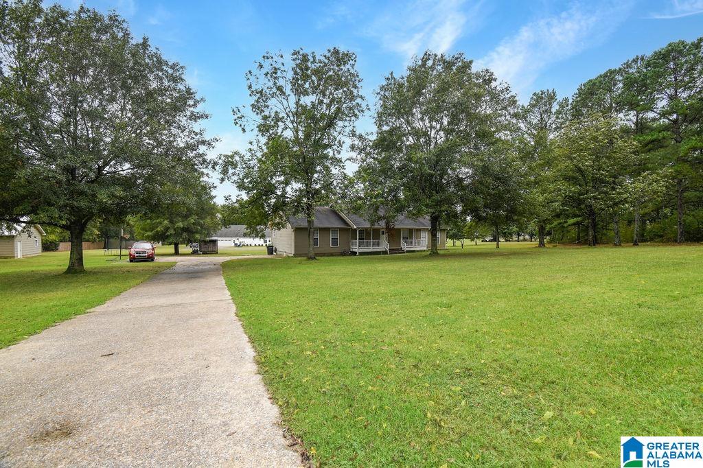 181 Dyer Road Harpersville, AL 35078 - Photo 3 of 37