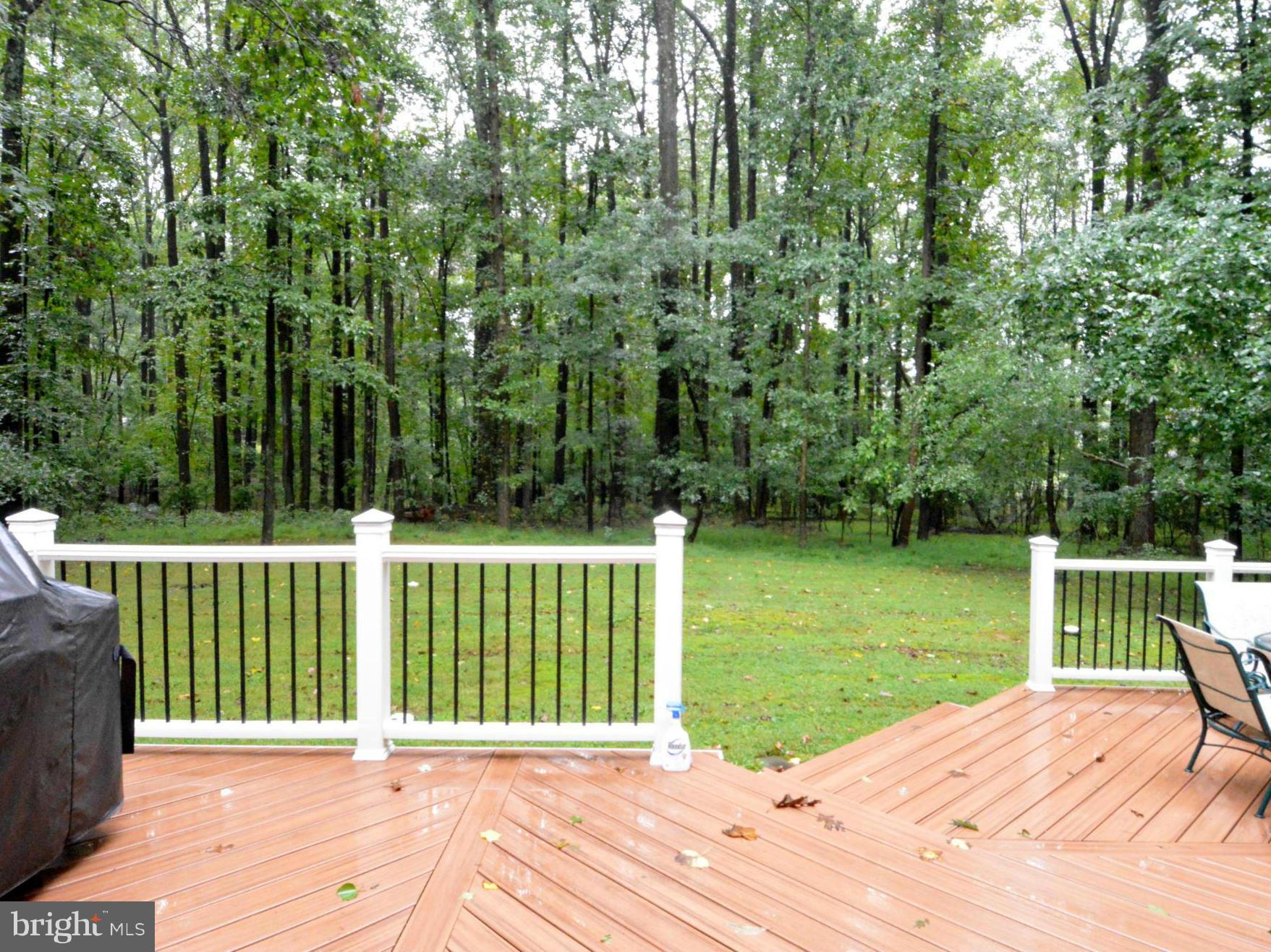 903 Timber Run Road Reisterstown, MD 21136 - Photo 16 of 30 Deck