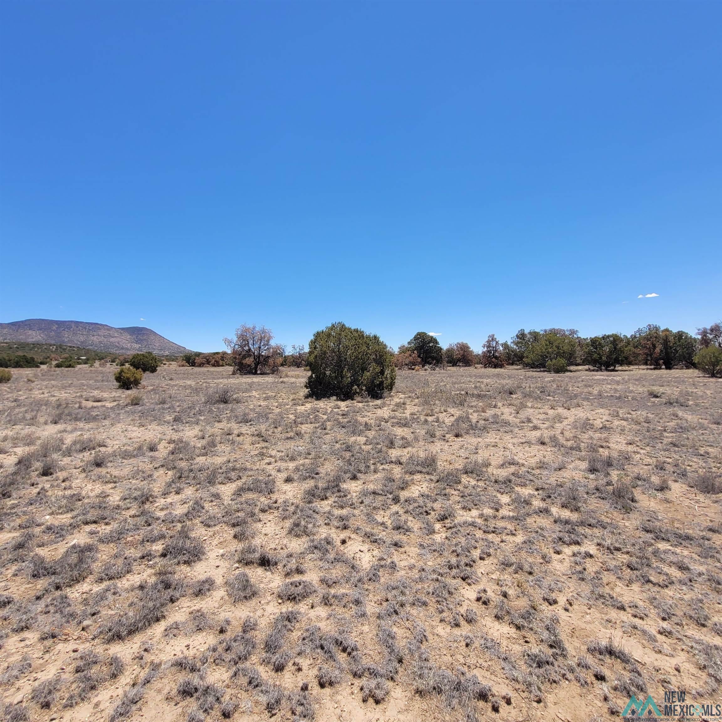 47 Southern Trail, Unit 48 47 Datil, NM 87821 - Photo 41 of 46 Gallery Image 41