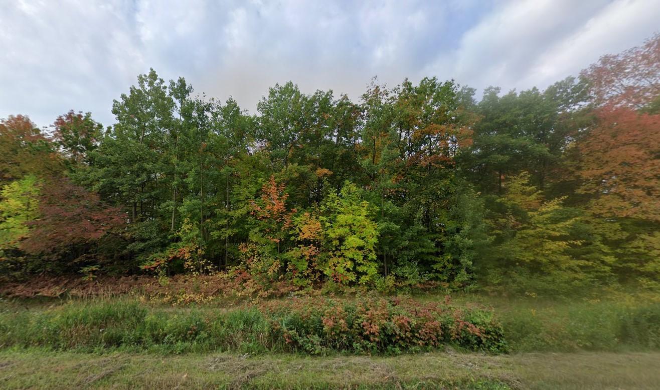 47238 Xavier Road Garrison, MN 56450 - Photo 2 of 5