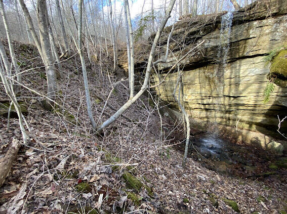 9999 Sinking Valley School Road McKee, KY 40447 - Photo 13 of 28 2F2A1ED6-5131-4DBE-A465-E41821218EC3