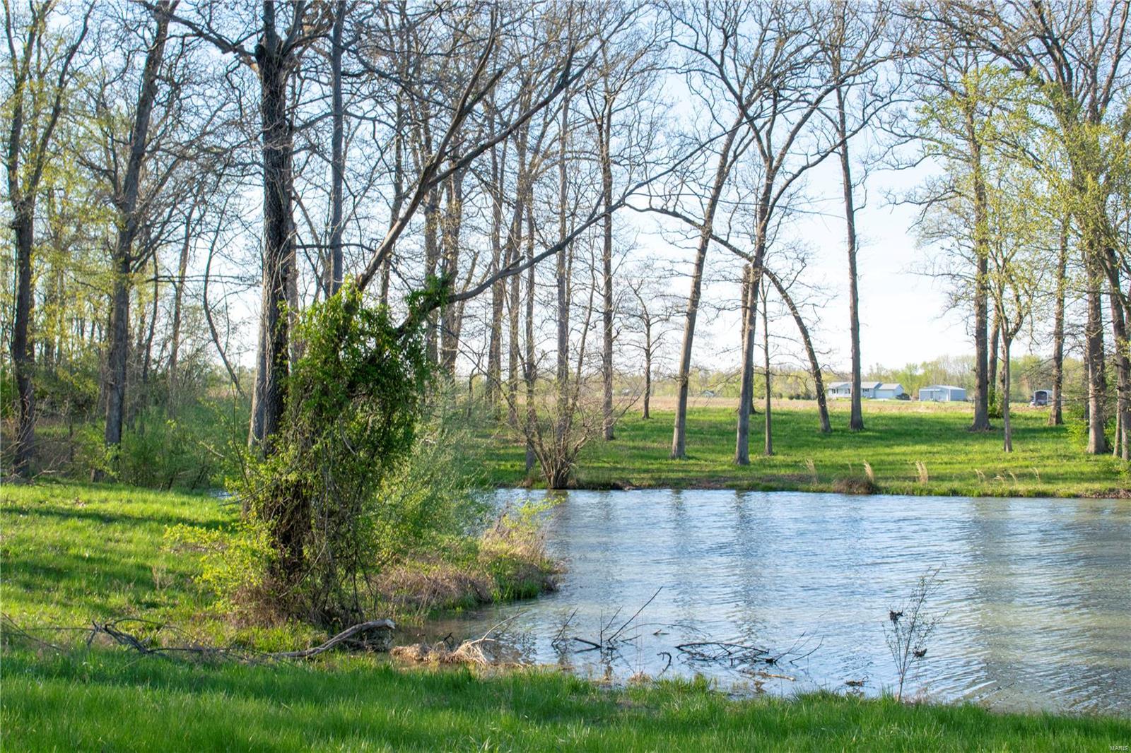 6901 Goeddeltown Road Waterloo, IL 62298 - Photo 4 of 32