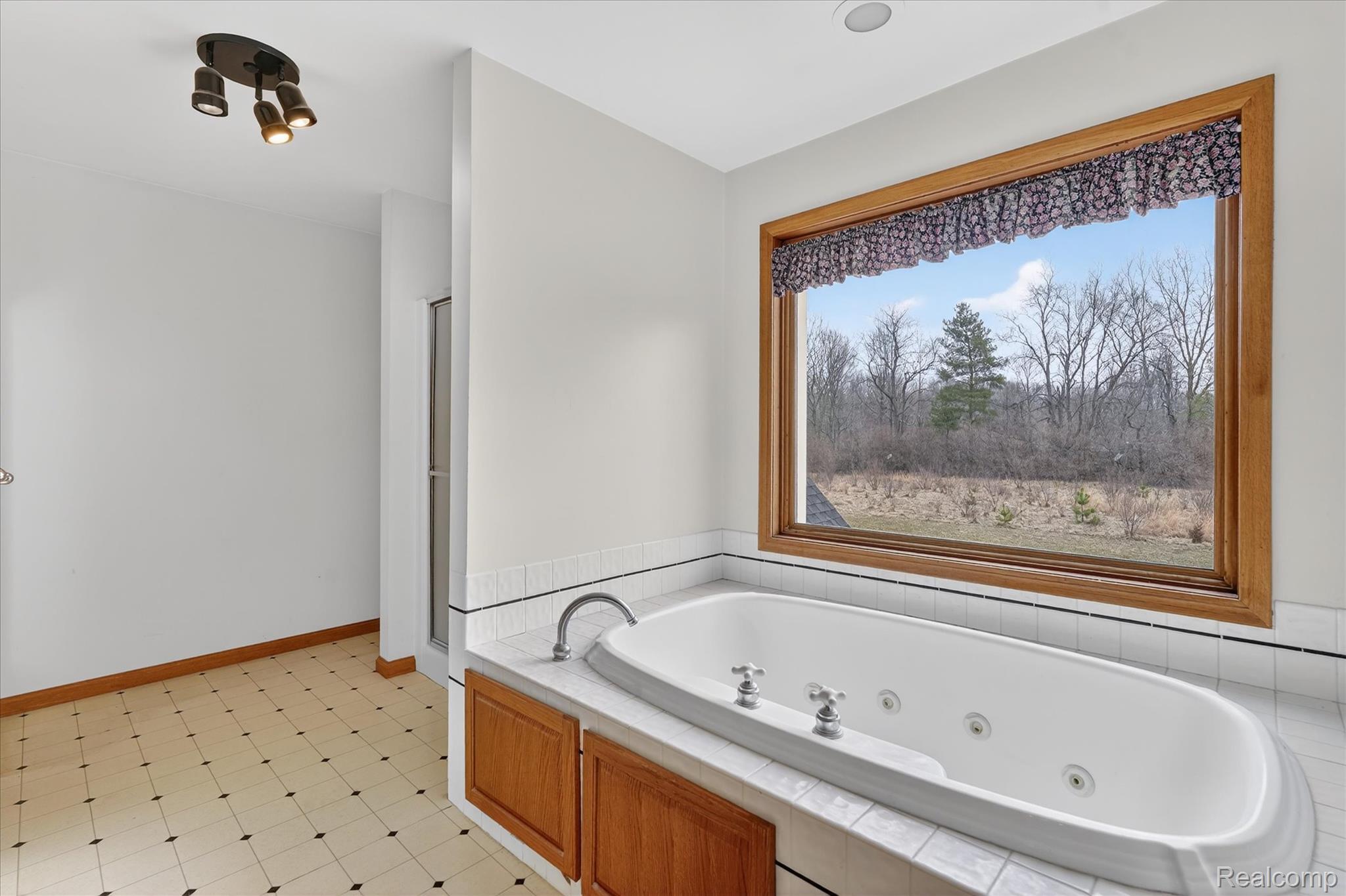 5640 Fisher Road Howell, MI 48855 - Photo 31 of 66 Bathroom featuring a whirlpool tub, a stall shower, and light flooring