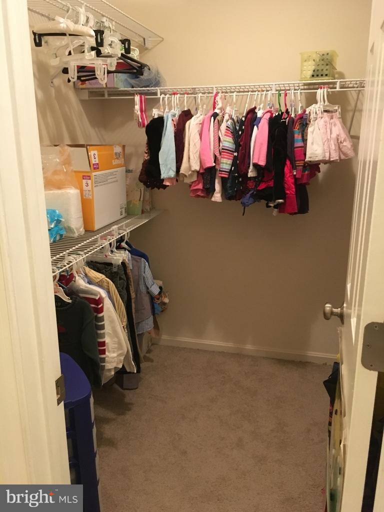 202 Rugby Road Fredericksburg, VA 22406 - Photo 17 of 29 a view of walk in closet with clothes and shoes