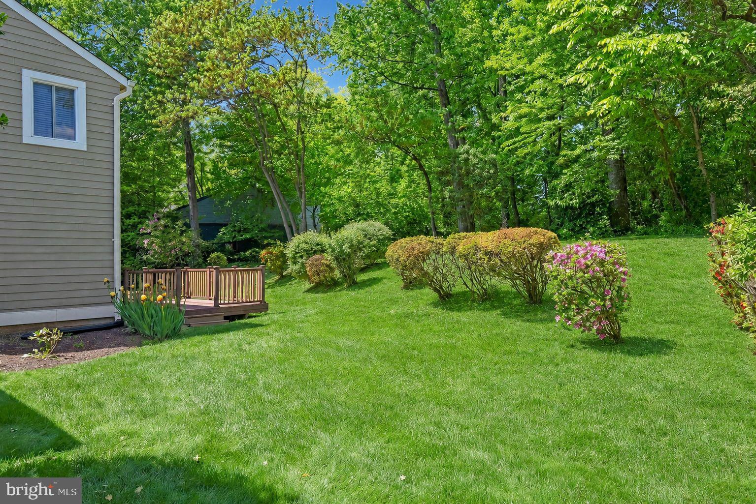 11814 Blue Spruce Road Reston, VA 20191 - Photo 51 of 56 Backyard featuring greenery and shrubs