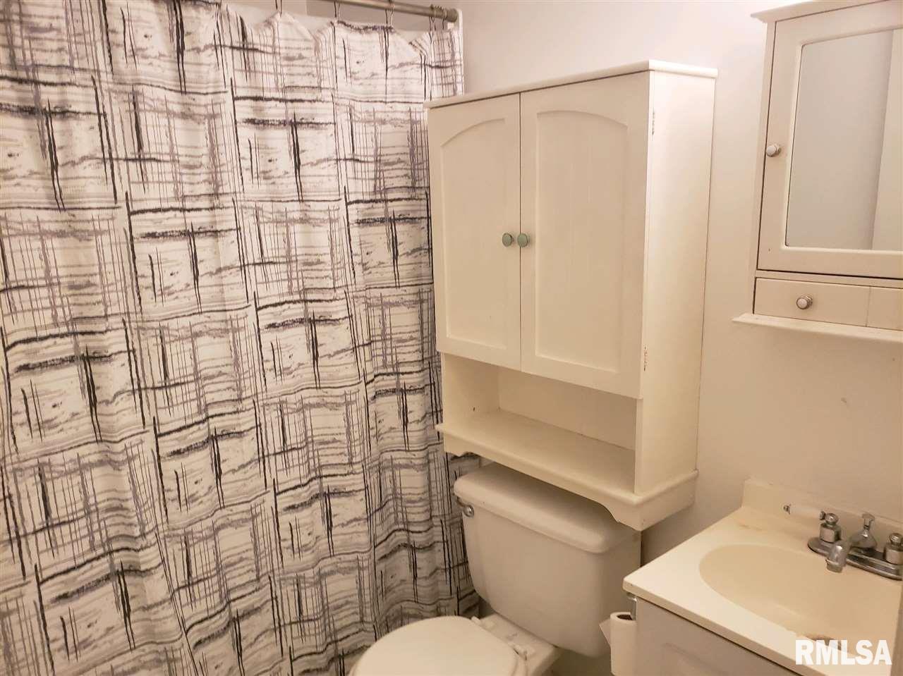 110 7th Street Colona, IL 61241 - Photo 11 of 13 Gallery Image 11