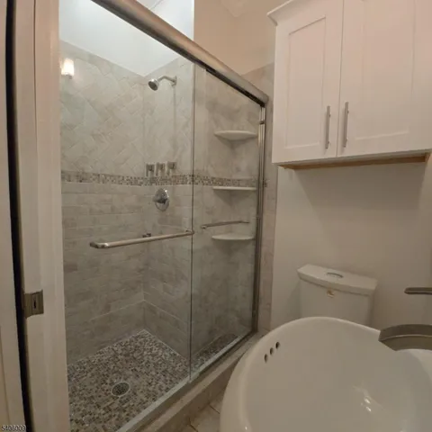 a bathroom with a shower and a toilet