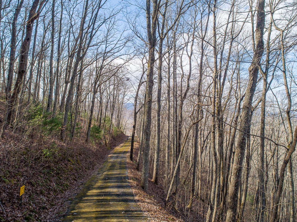 0 Buckhead Hills Hiawassee, GA 30546 - Photo 11 of 57