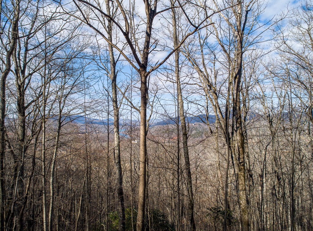 0 Buckhead Hills Hiawassee, GA 30546 - Photo 12 of 57