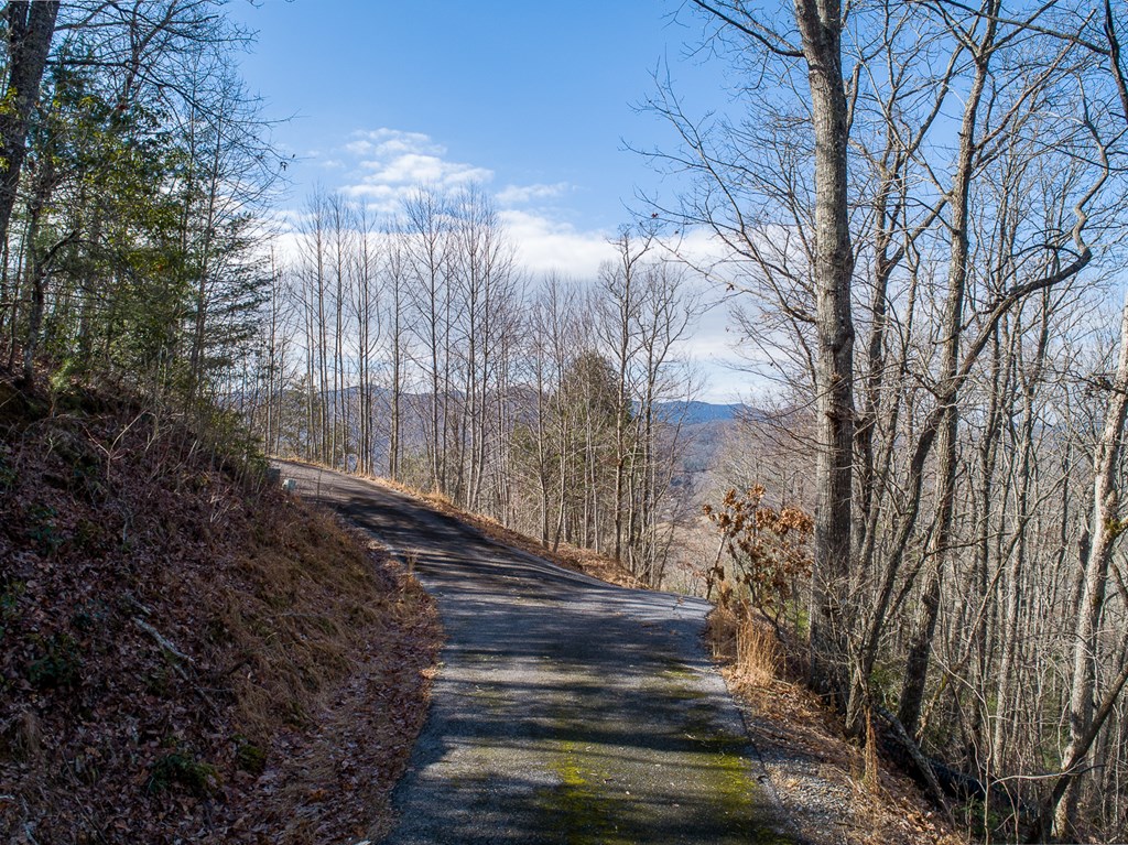 0 Buckhead Hills Hiawassee, GA 30546 - Photo 13 of 57