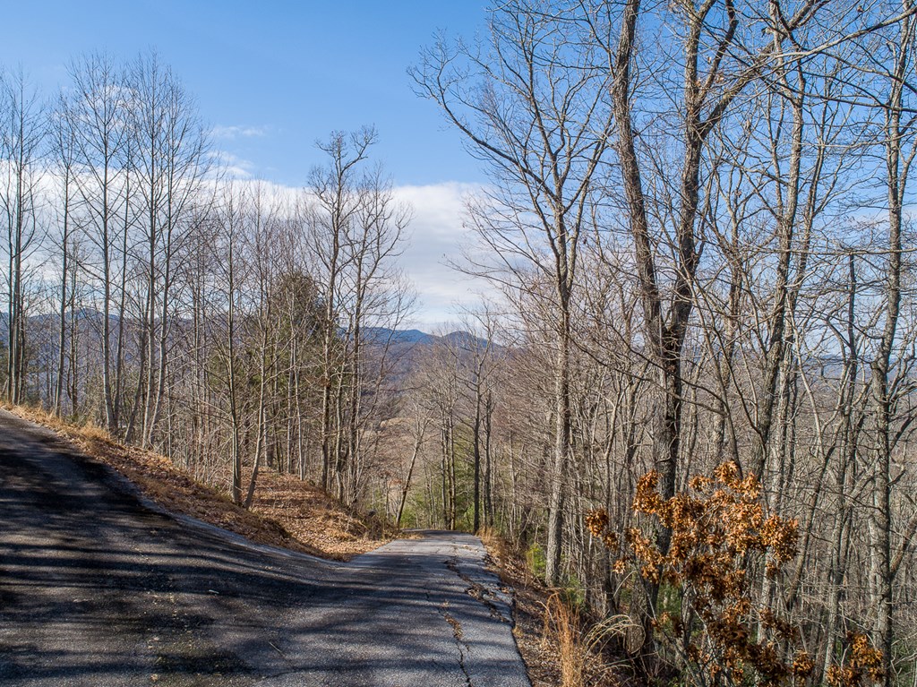 0 Buckhead Hills Hiawassee, GA 30546 - Photo 14 of 57