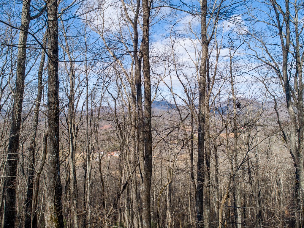 0 Buckhead Hills Hiawassee, GA 30546 - Photo 15 of 57