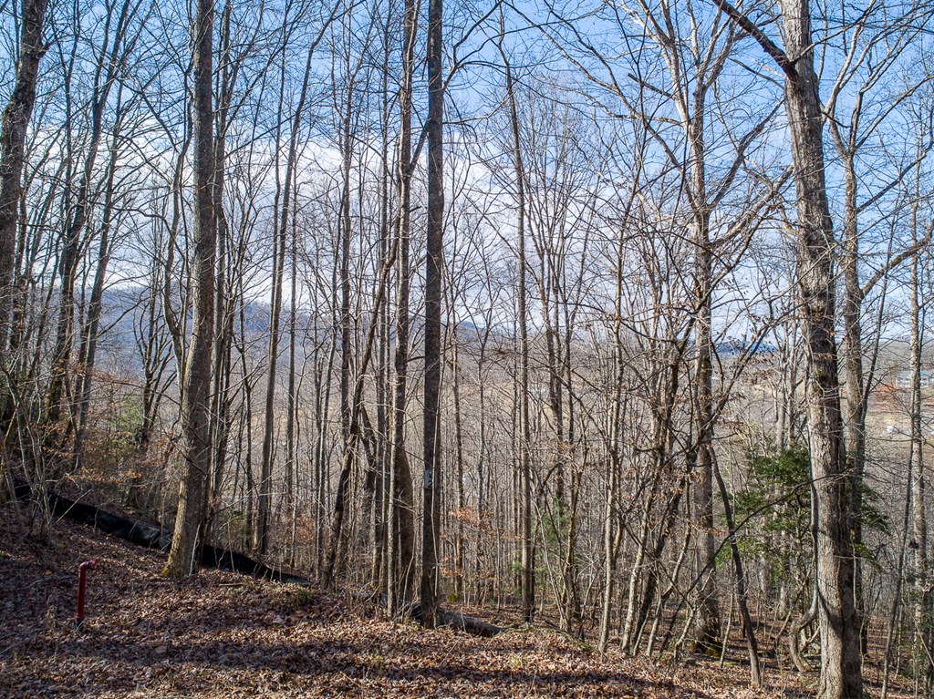 0 Buckhead Hills Hiawassee, GA 30546 - Photo 16 of 57