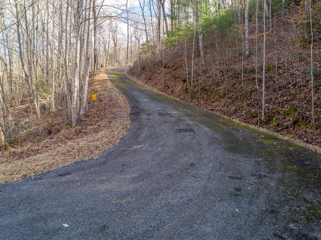 0 Buckhead Hills Hiawassee, GA 30546 - Photo 17 of 57