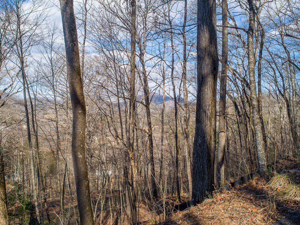 0 Buckhead Hills Hiawassee, GA 30546 - Photo 18 of 57