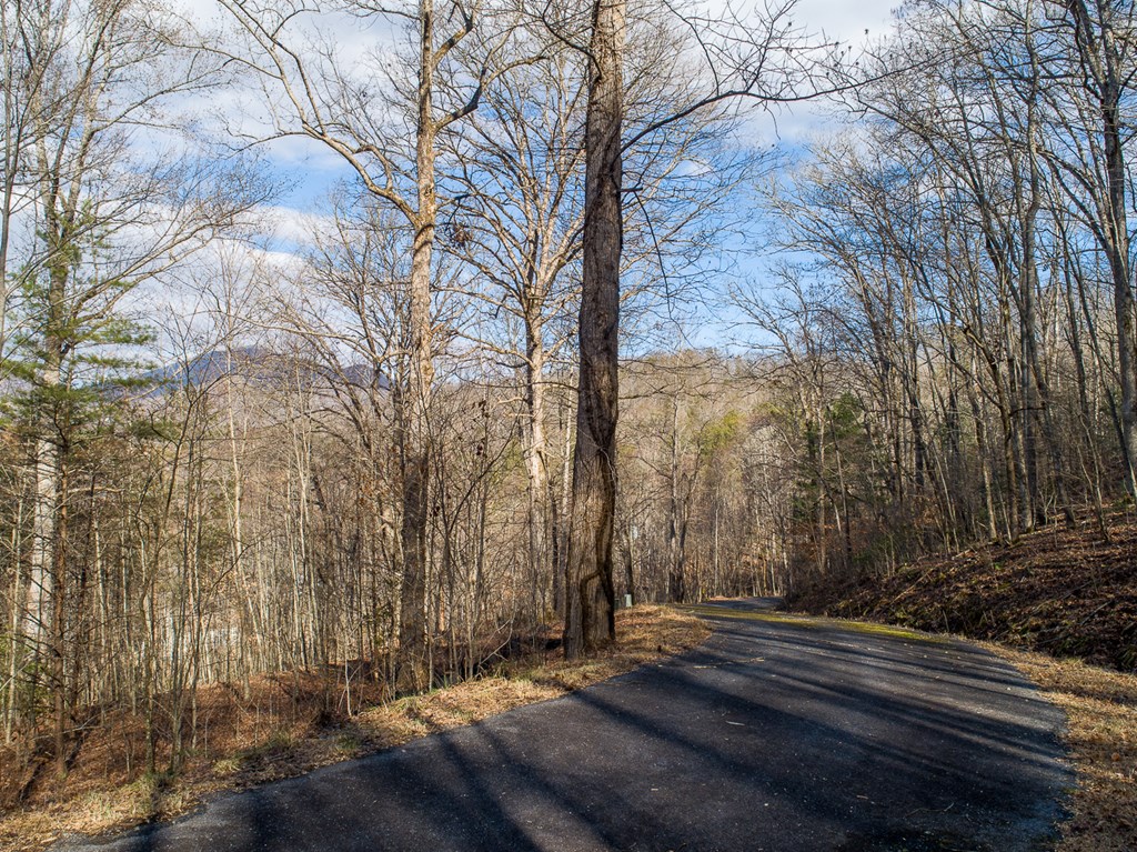 0 Buckhead Hills Hiawassee, GA 30546 - Photo 19 of 57