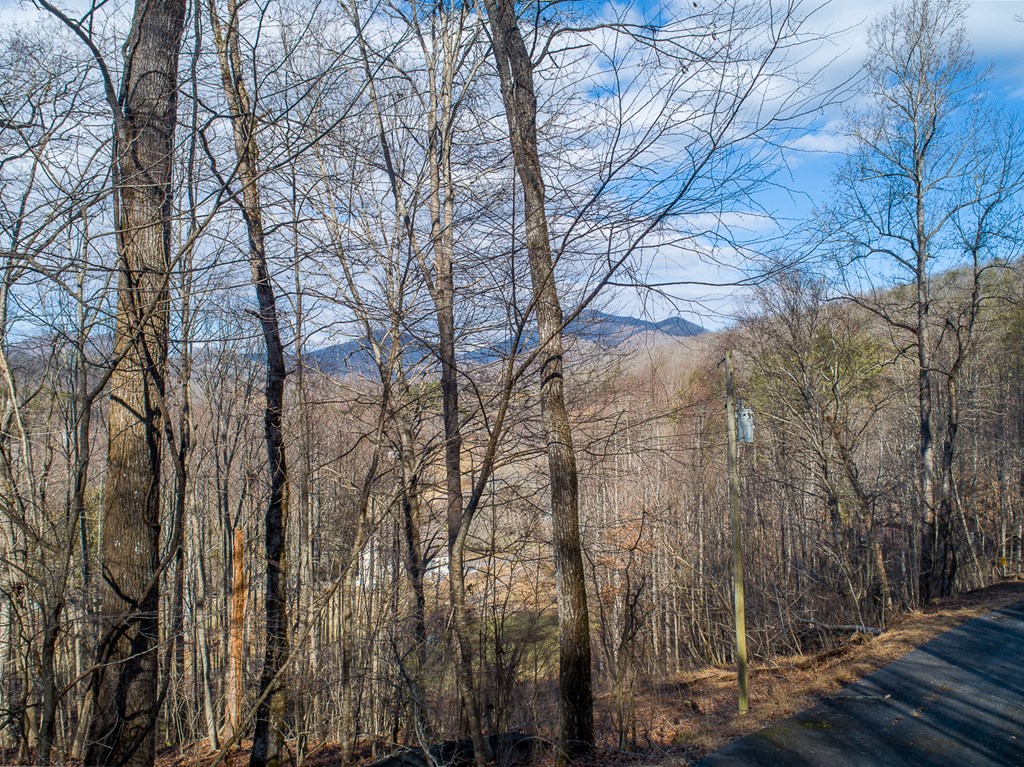 0 Buckhead Hills Hiawassee, GA 30546 - Photo 20 of 57