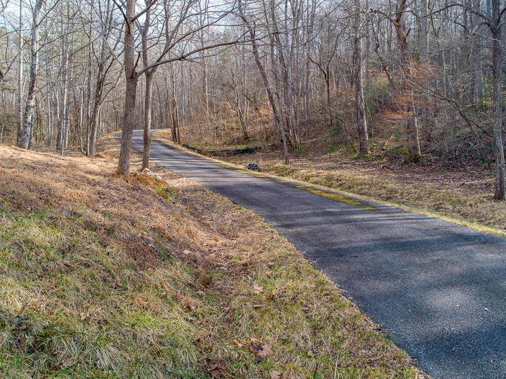 0 Buckhead Hills Hiawassee, GA 30546 - Photo 21 of 57