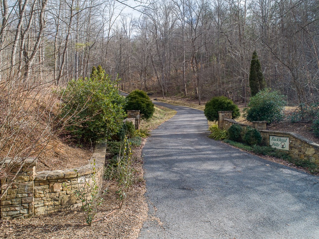 0 Buckhead Hills Hiawassee, GA 30546 - Photo 22 of 57