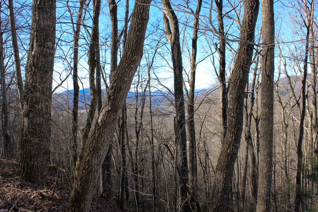 0 Buckhead Hills Hiawassee, GA 30546 - Photo 24 of 57