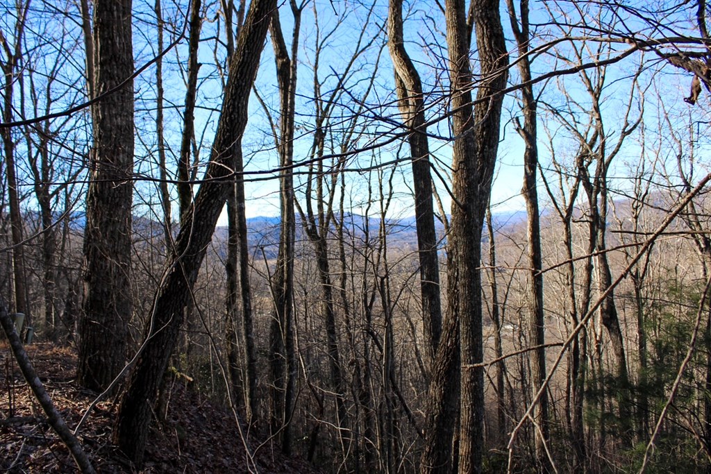 0 Buckhead Hills Hiawassee, GA 30546 - Photo 25 of 57