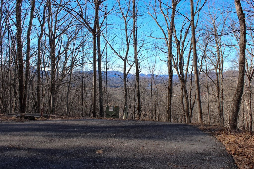 0 Buckhead Hills Hiawassee, GA 30546 - Photo 26 of 57