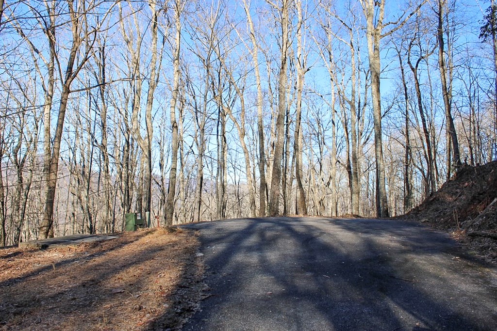 0 Buckhead Hills Hiawassee, GA 30546 - Photo 27 of 57