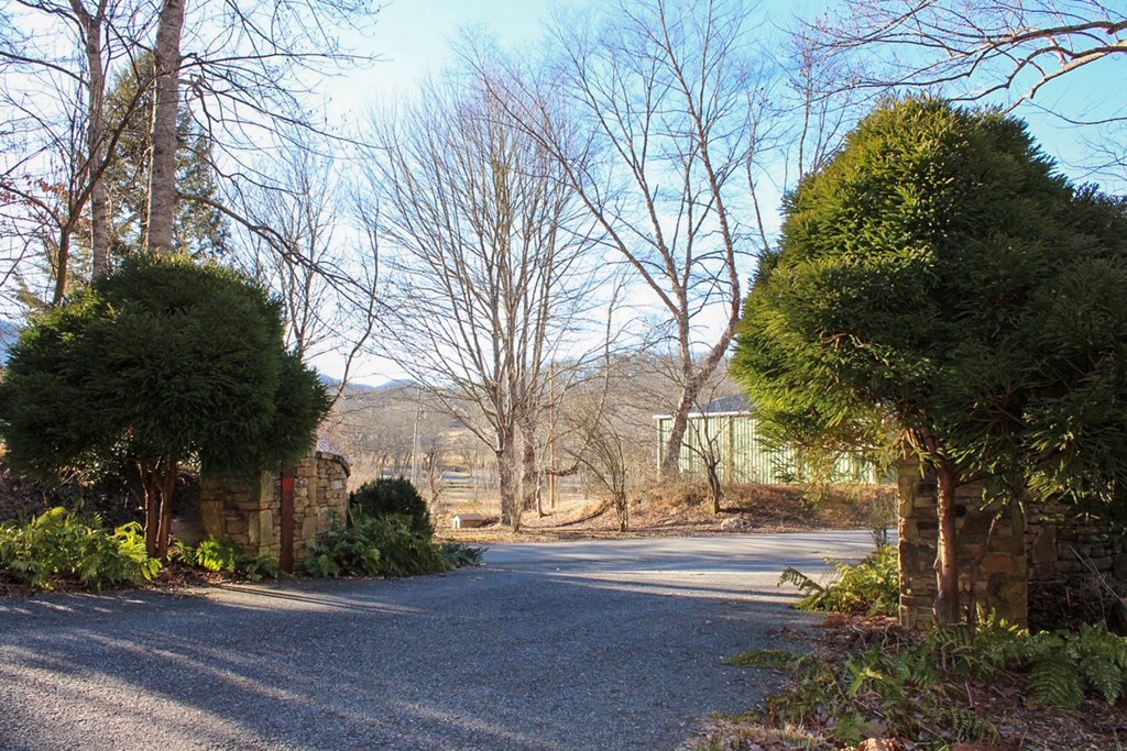 0 Buckhead Hills Hiawassee, GA 30546 - Photo 28 of 57