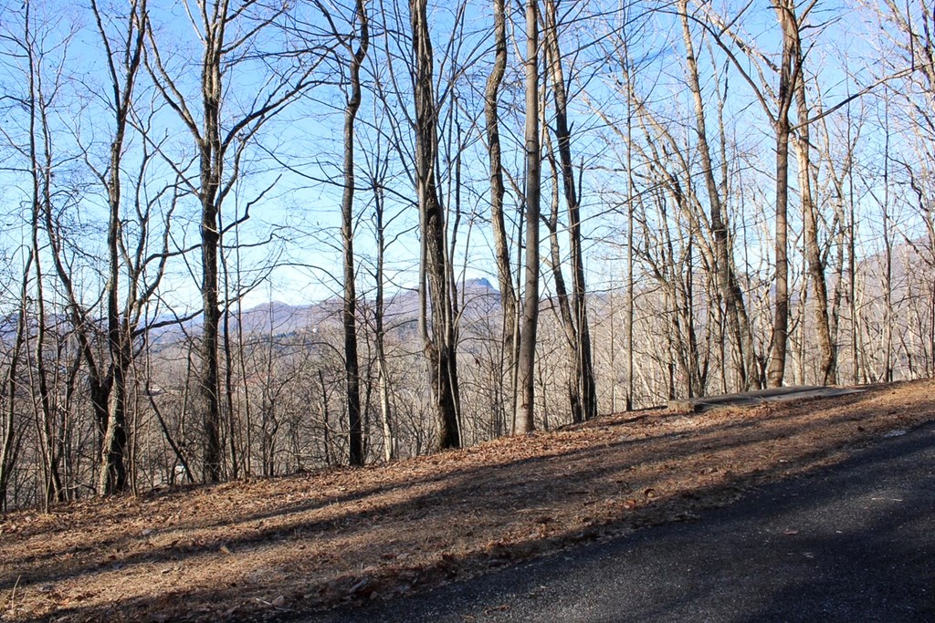 0 Buckhead Hills Hiawassee, GA 30546 - Photo 29 of 57